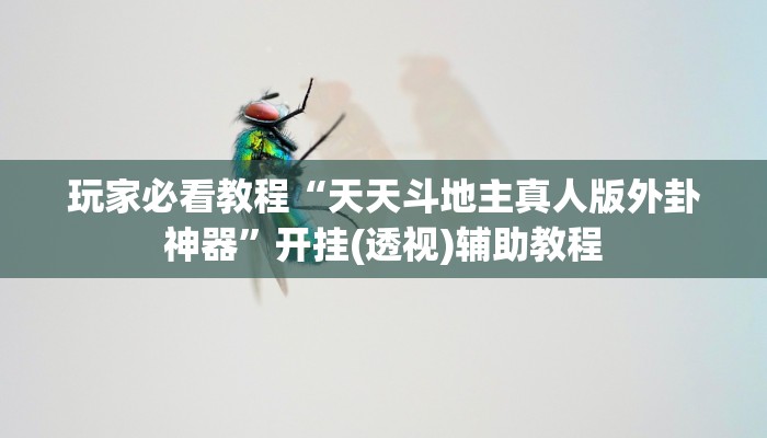 玩家必看教程“天天斗地主真人版外卦神器”开挂(透视)辅助教程