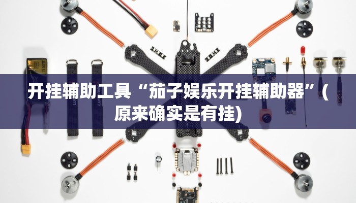 开挂辅助工具“茄子娱乐开挂辅助器”(原来确实是有挂)