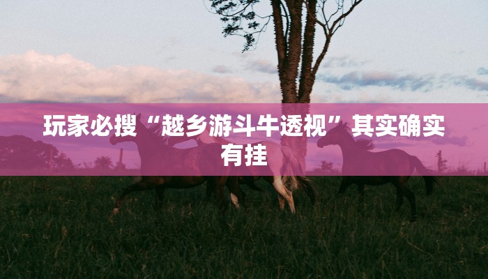 玩家必搜“越乡游斗牛透视”其实确实有挂