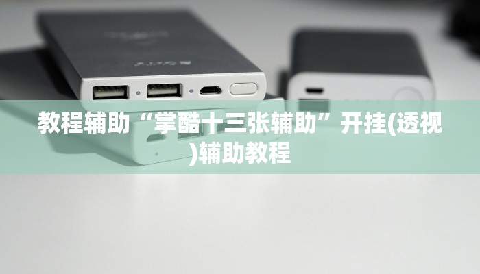 教程辅助“掌酷十三张辅助”开挂(透视)辅助教程