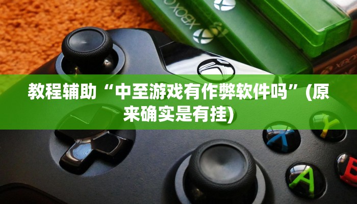 教程辅助“中至游戏有作弊软件吗”(原来确实是有挂)