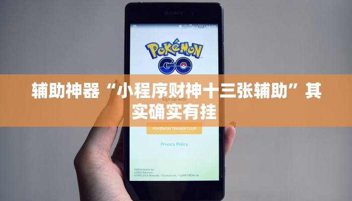 辅助神器“小程序财神十三张辅助”其实确实有挂 