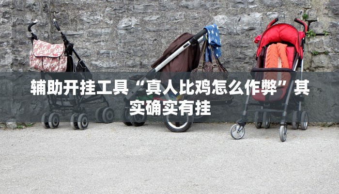 教程辅助“微乐北京麻将开挂神器”(详细开挂教程)