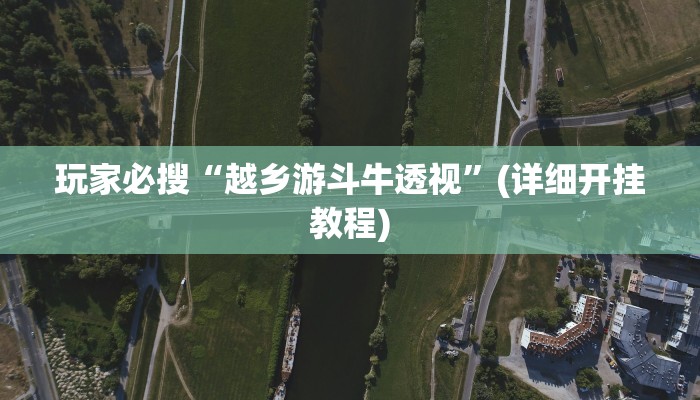 玩家必搜“越乡游斗牛透视”(详细开挂教程)