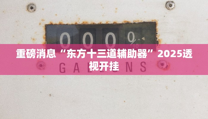 重磅消息“东方十三道辅助器”2025透视开挂