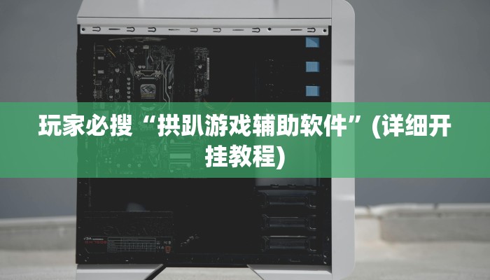 玩家必搜“拱趴游戏辅助软件”(详细开挂教程)