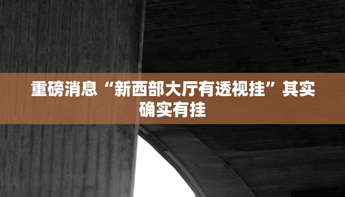 辅助神器“天天福建十三水稳赢”2025透视开挂