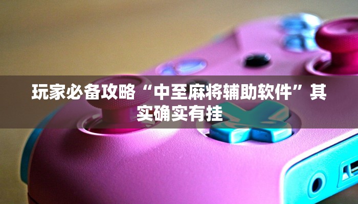 玩家必备攻略“中至麻将辅助软件”其实确实有挂