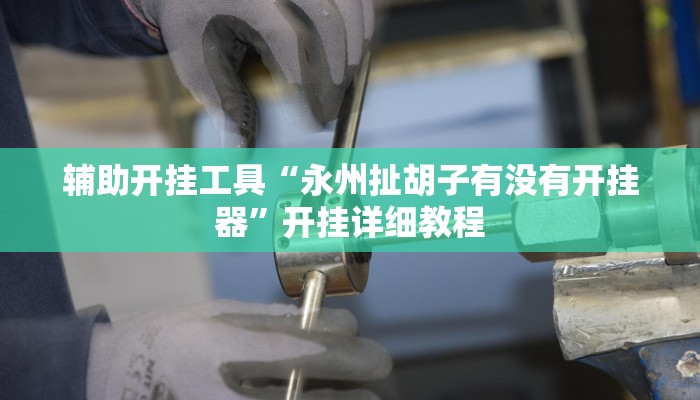 辅助开挂工具“永州扯胡子有没有开挂器”开挂详细教程