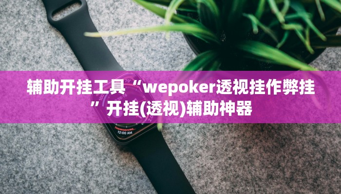辅助开挂工具“wepoker透视挂作弊挂”开挂(透视)辅助神器