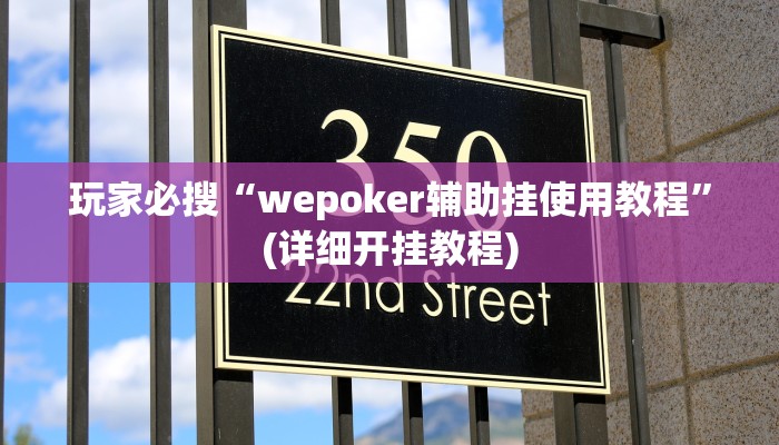 玩家必搜“wepoker辅助挂使用教程”(详细开挂教程)