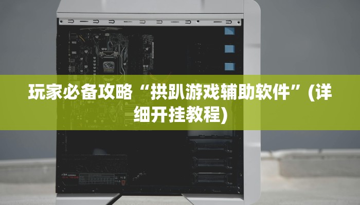 玩家必备攻略“拱趴游戏辅助软件”(详细开挂教程)