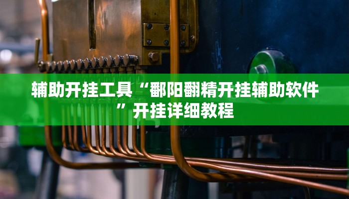 辅助开挂工具“鄱阳翻精开挂辅助软件”开挂详细教程