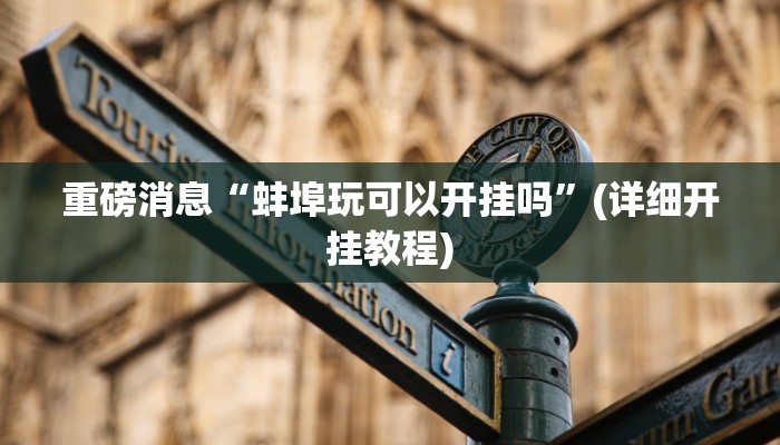 重磅消息“蚌埠玩可以开挂吗”(详细开挂教程)