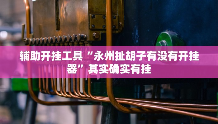 辅助开挂工具“永州扯胡子有没有开挂器”其实确实有挂