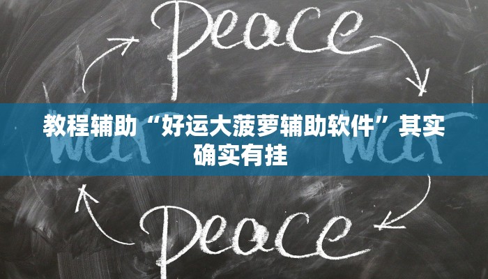教程辅助“好运大菠萝辅助软件”其实确实有挂 