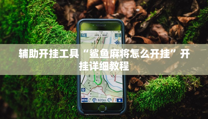 辅助开挂工具“鲨鱼麻将怎么开挂”开挂详细教程