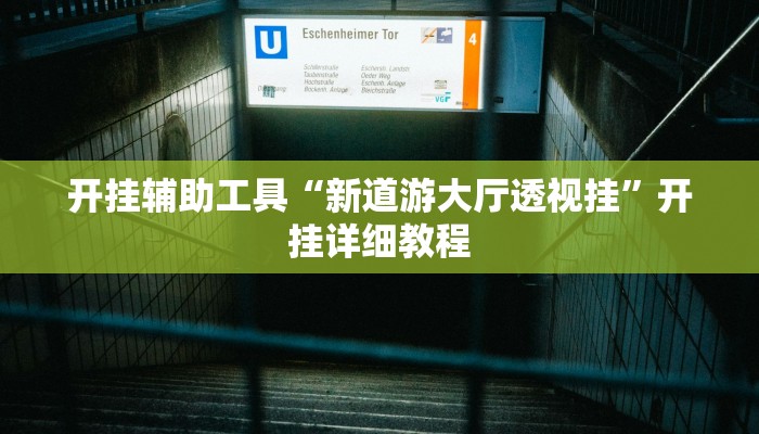 开挂辅助工具“新道游大厅透视挂”开挂详细教程
