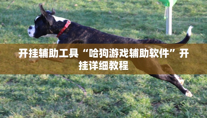 开挂辅助工具“哈狗游戏辅助软件”开挂详细教程