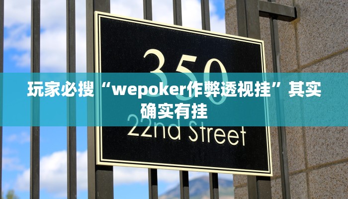 玩家必搜“wepoker作弊透视挂”其实确实有挂