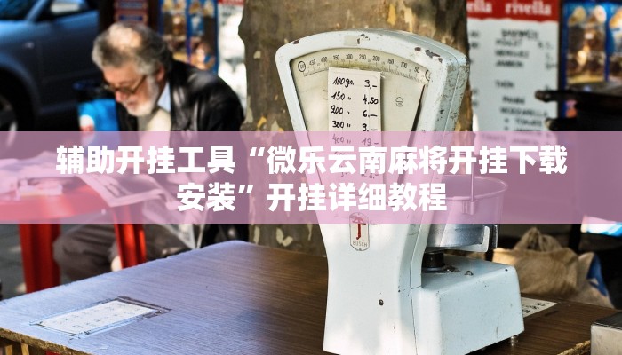 辅助开挂工具“微乐云南麻将开挂下载安装”开挂详细教程