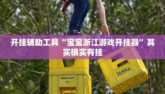 开挂辅助工具“宝宝浙江游戏开挂器”其实确实有挂