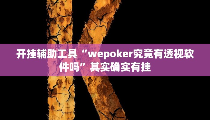 开挂辅助工具“wepoker究竟有透视软件吗”其实确实有挂