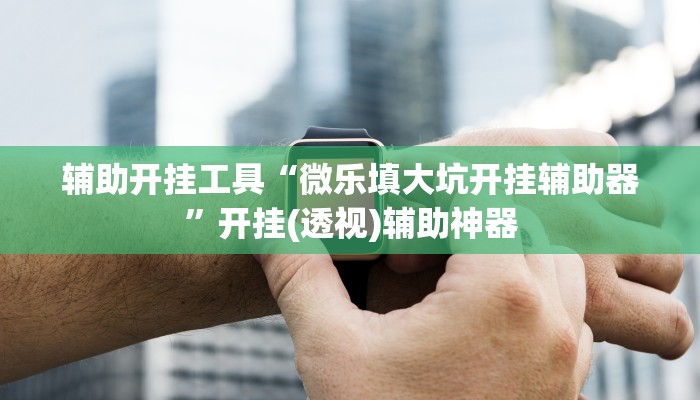 辅助开挂工具“微乐填大坑开挂辅助器”开挂(透视)辅助神器