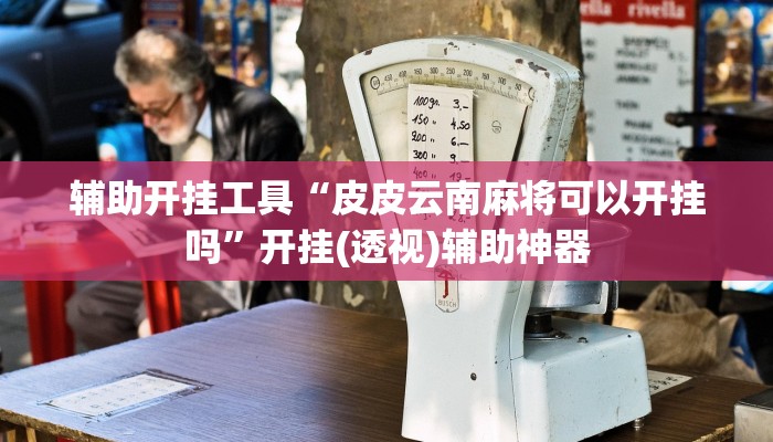 教程分享“功夫川麻辅助挂”开挂详细教程