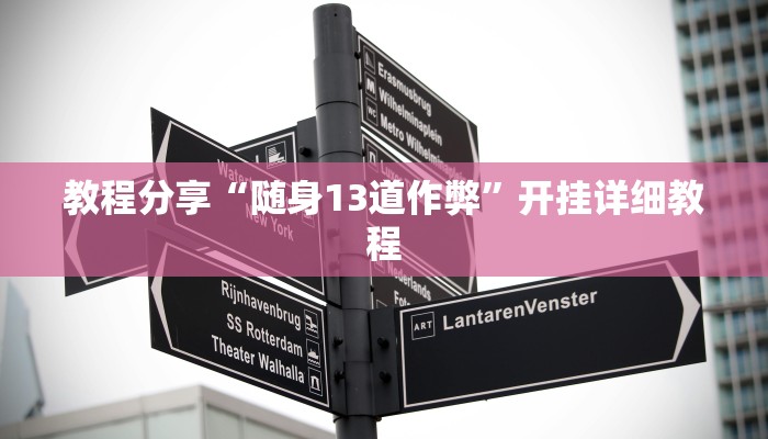 教程分享“随身13道作弊”开挂详细教程