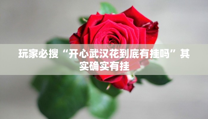 玩家必搜“星悦广西跑胡子真的有挂吗”其实确实有挂