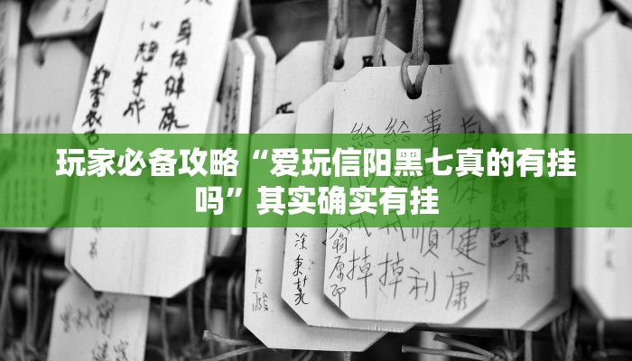 玩家必备攻略“爱玩信阳黑七真的有挂吗”其实确实有挂