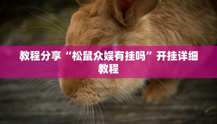 教程分享“松鼠众娱有挂吗”开挂详细教程