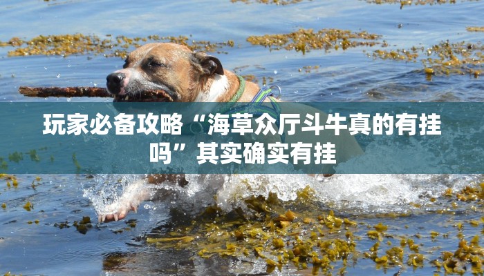 玩家必备攻略“海草众厅斗牛真的有挂吗”其实确实有挂