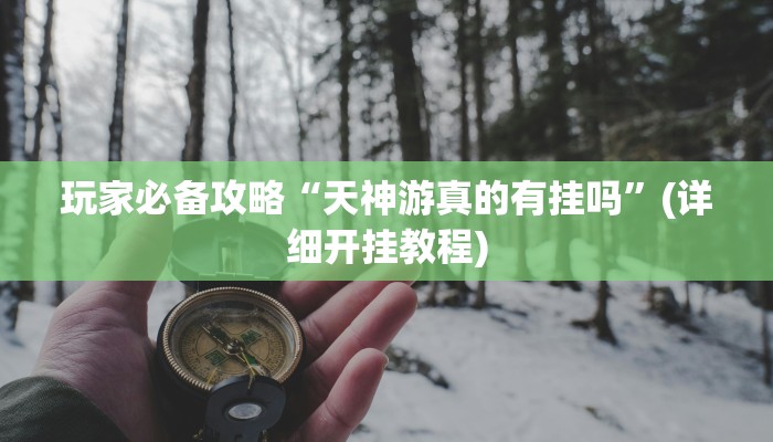 玩家必备攻略“天神游真的有挂吗”(详细开挂教程)