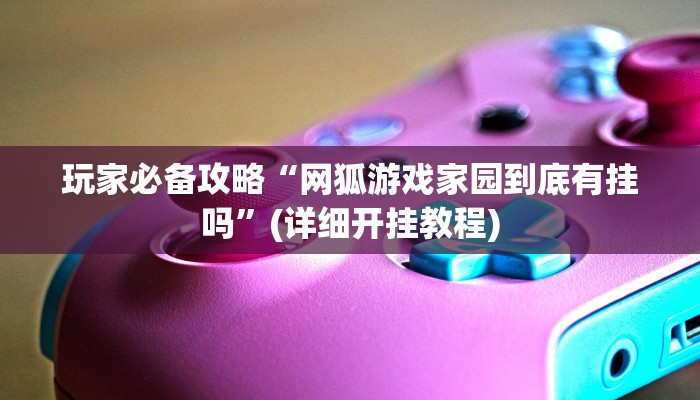 玩家必备攻略“网狐游戏家园到底有挂吗”(详细开挂教程)