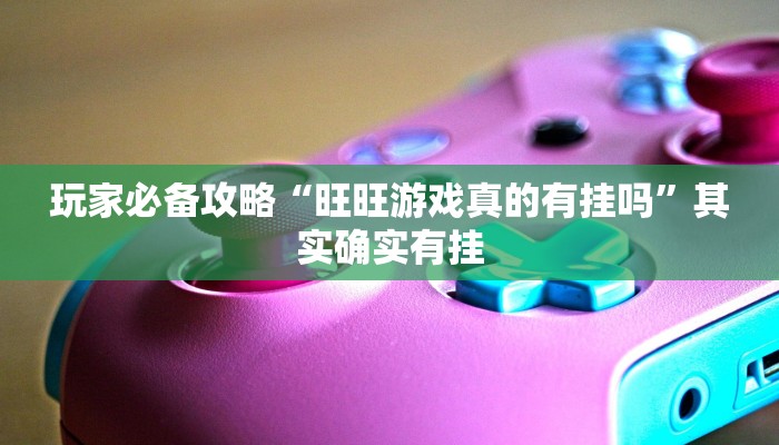 玩家必备攻略“旺旺游戏真的有挂吗”其实确实有挂