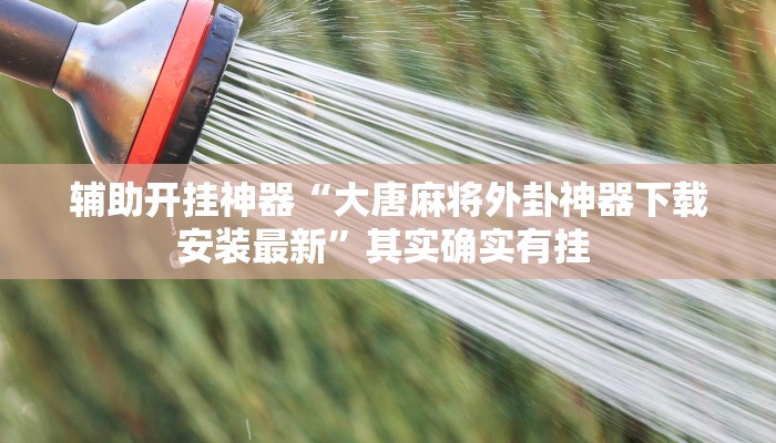 辅助开挂神器“大唐麻将外卦神器下载安装最新”其实确实有挂 