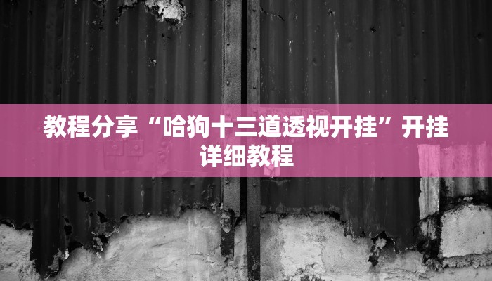 教程分享“哈狗十三道透视开挂”开挂详细教程