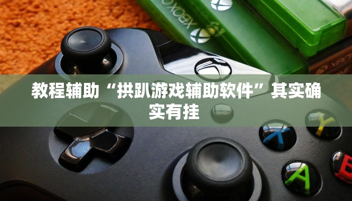 教程辅助“拱趴游戏辅助软件”其实确实有挂 