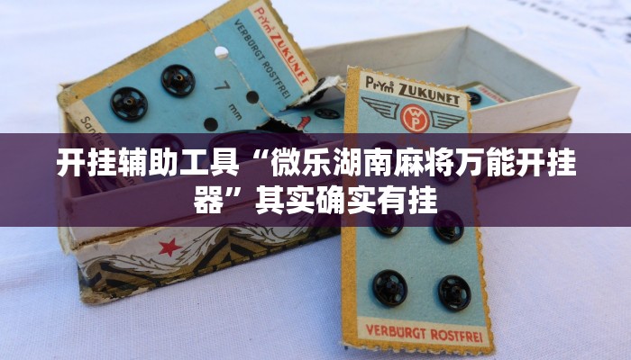 开挂辅助工具“微乐湖南麻将万能开挂器”其实确实有挂