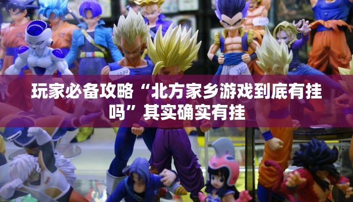 玩家必备攻略“北方家乡游戏到底有挂吗”其实确实有挂