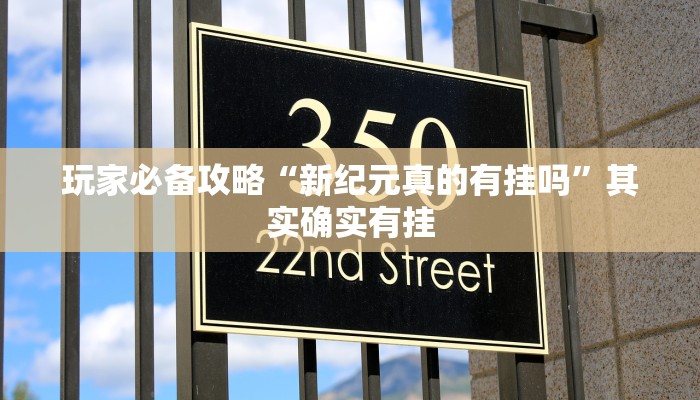 玩家必备攻略“新纪元真的有挂吗”其实确实有挂