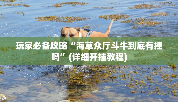 玩家必备攻略“海草众厅斗牛到底有挂吗”(详细开挂教程)