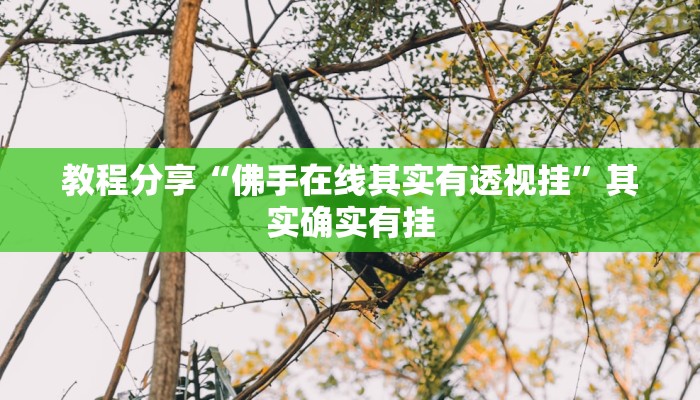 教程分享“佛手在线其实有透视挂”其实确实有挂