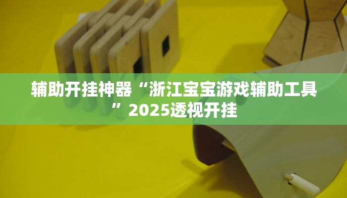 辅助开挂神器“浙江宝宝游戏辅助工具”2025透视开挂