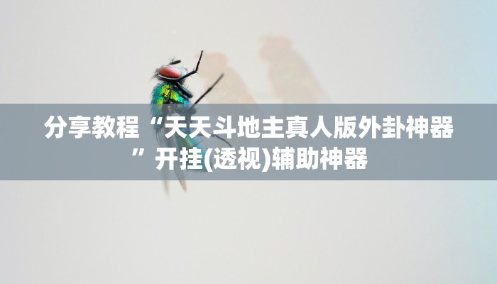 分享教程“天天斗地主真人版外卦神器”开挂(透视)辅助神器