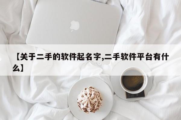 【关于二手的软件起名字,二手软件平台有什么】