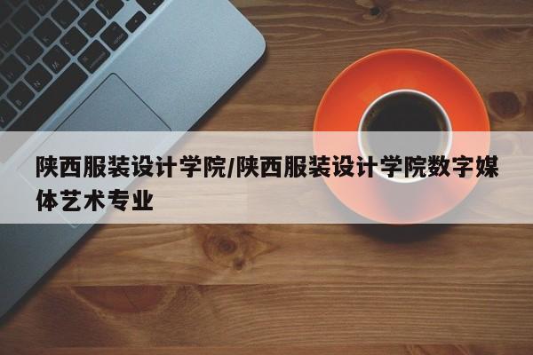 陕西服装设计学院/陕西服装设计学院数字媒体艺术专业