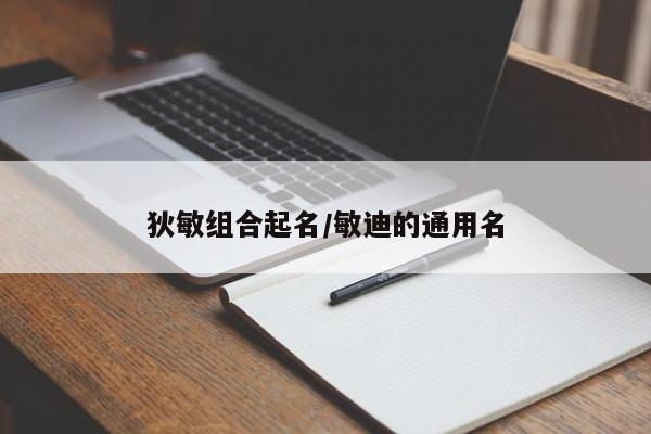 狄敏组合起名/敏迪的通用名